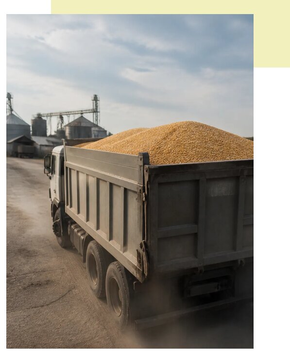 Перевозка сельхозпродукции навалом в Камышин по цене от 3083 р. | Агросервис-Кмш