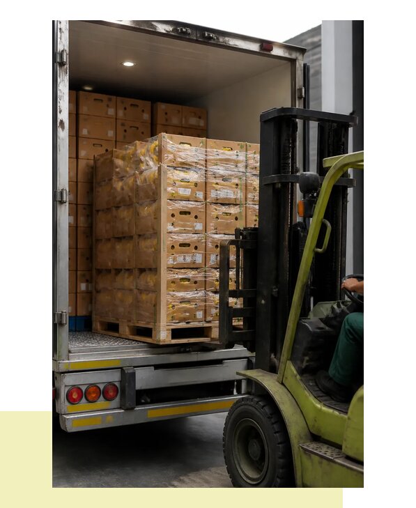 Перевозка бананов в Камышин с гарантией сохранности груза
